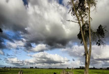 九州群英聚首赛场演绎绝技