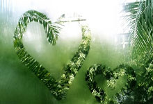 曼城阵容富有活力，取得一场胜利